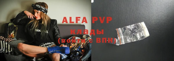 эйфоретик Вяземский