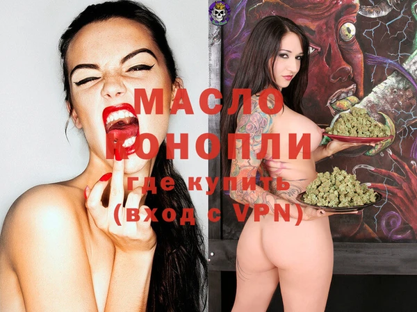 эйфоретик Вяземский